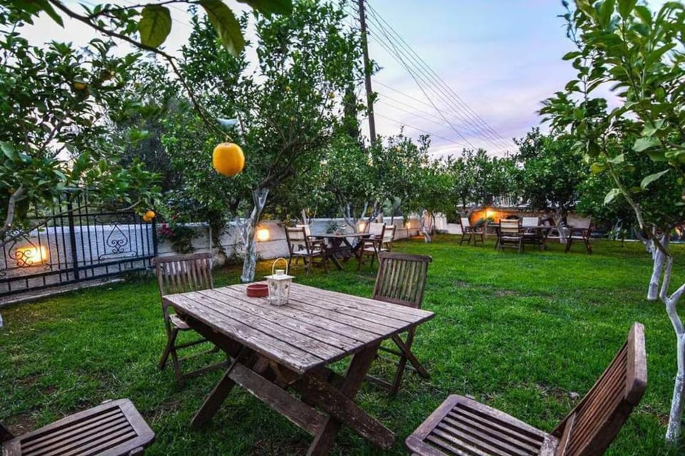 Patio, Spring, Day, Evening entertainment, Garden view