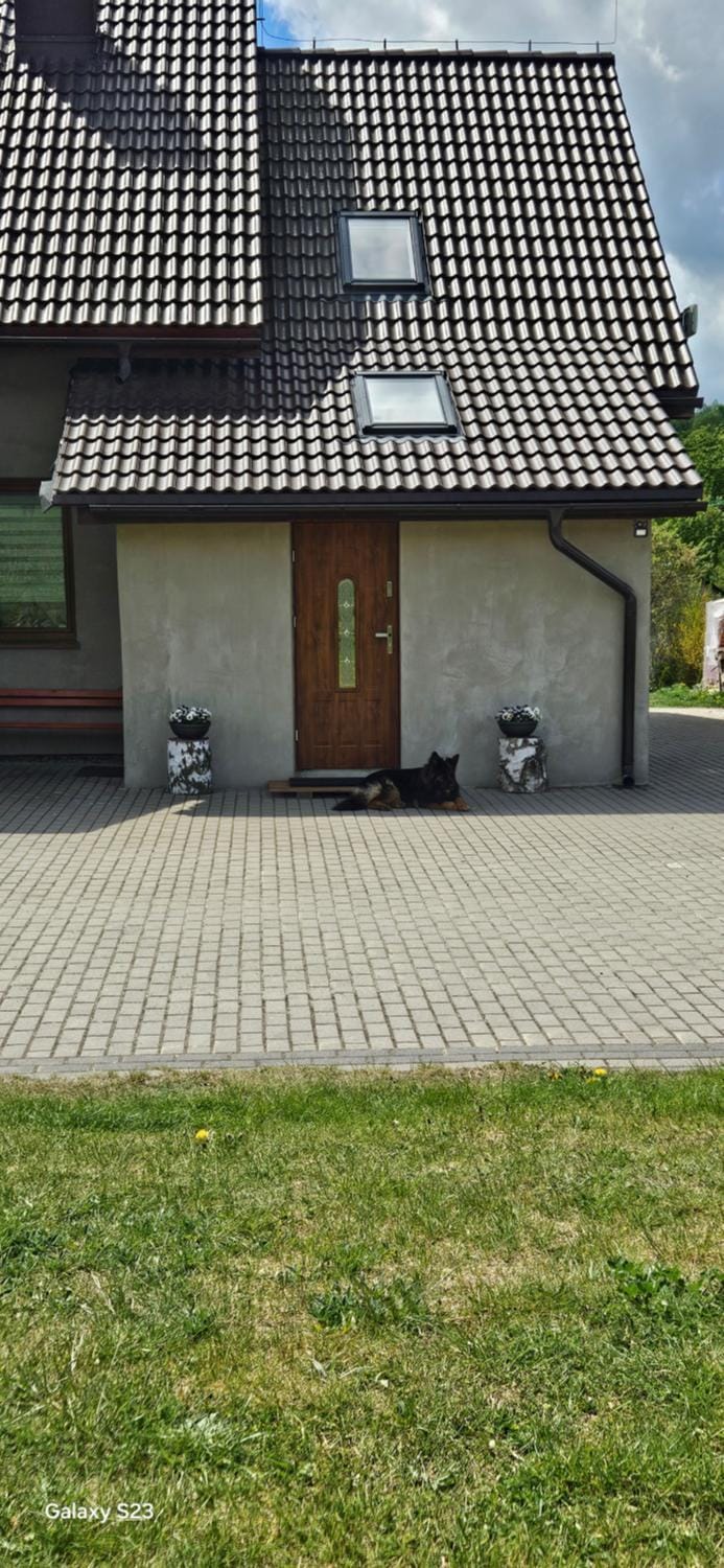 Apartament pod laskiem Apartment in Lower Silesian Voivodeship