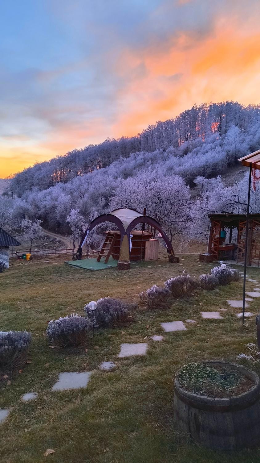 Camping Poiana Stelelor Campground/ 
RV Resort in Cluj County