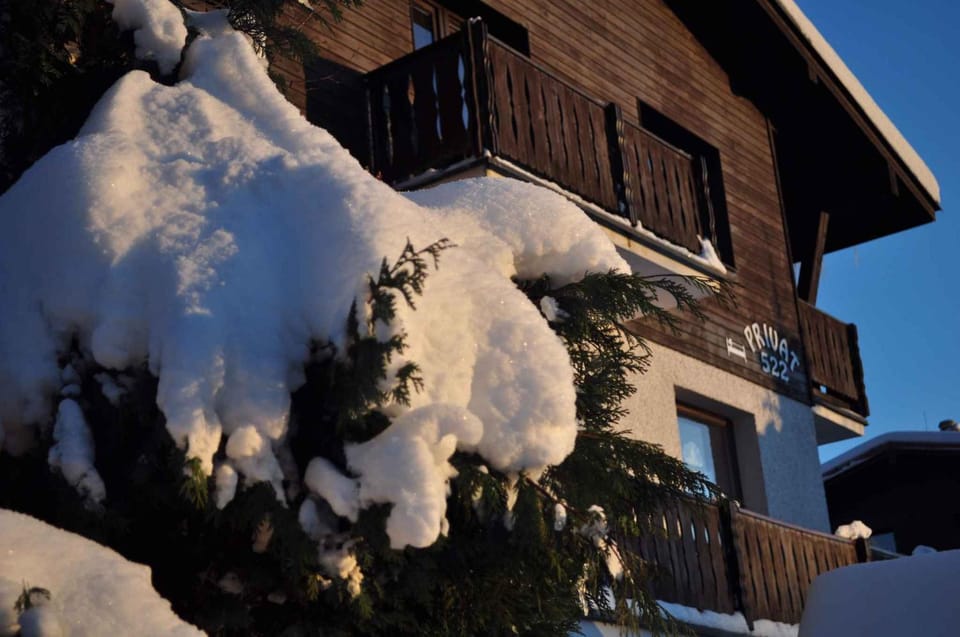 Winter, Garden