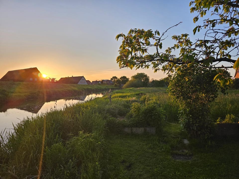 Garden, River view