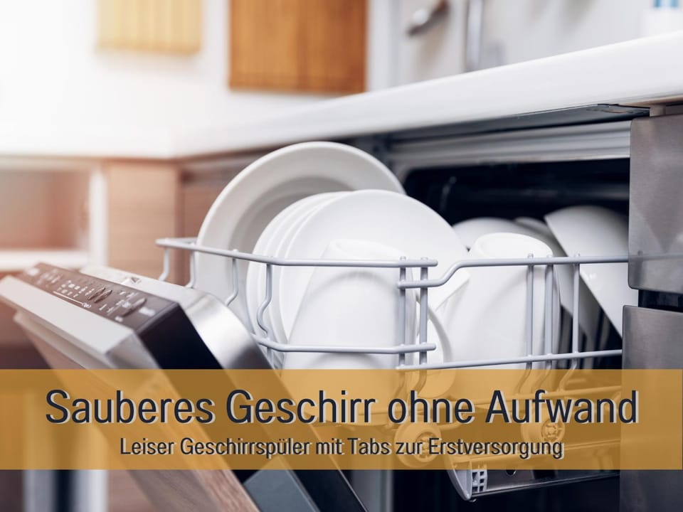 Kitchen or kitchenette, dishwasher