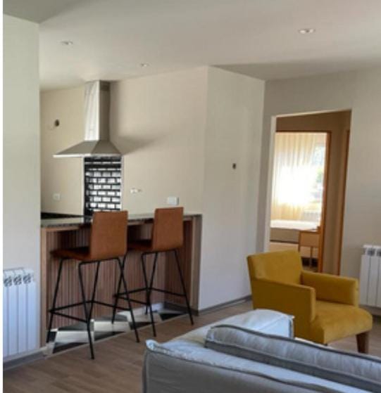 Kitchen or kitchenette, Living room, Seating area, Dining area