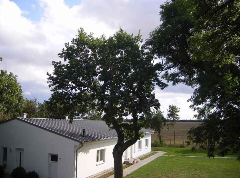 Property building, Summer