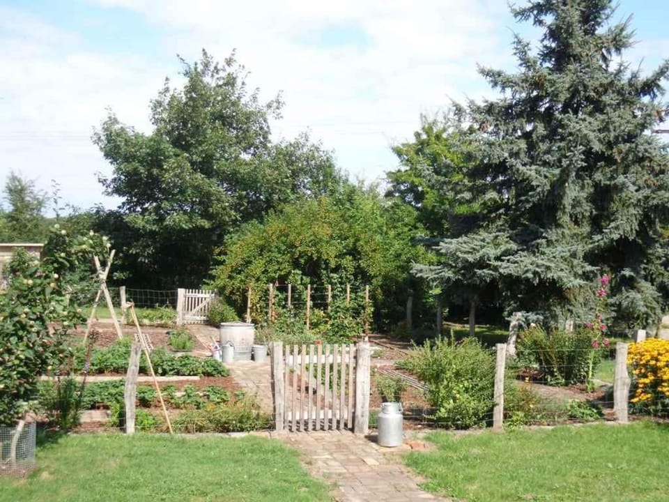 Summer, Garden