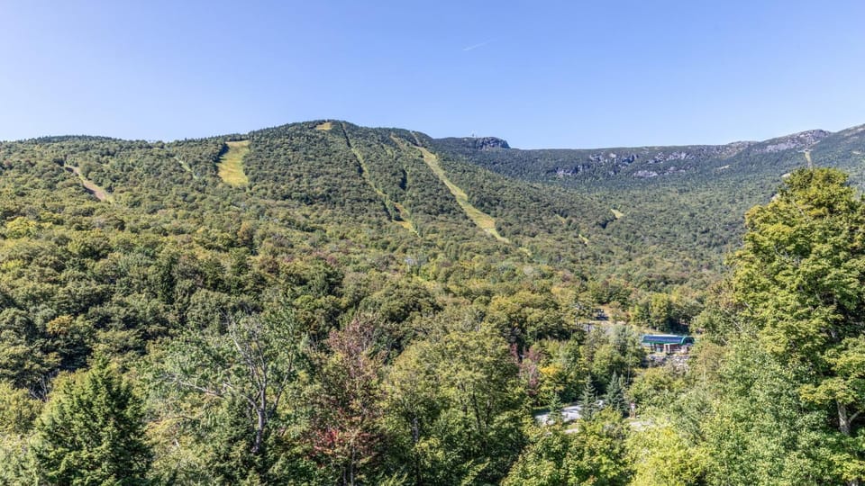 402 - Treehouse Condo - Spruce Peak - Stowe Mt Resort - Ski in Ski Out - Sleeps 9 Apartment in Stowe