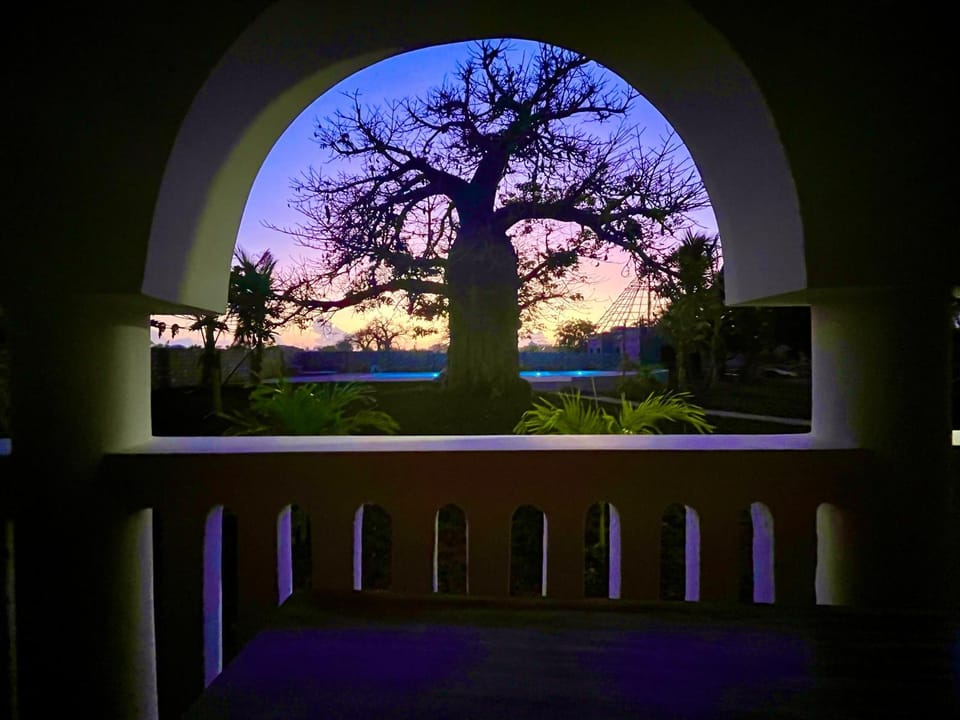 Balcony/Terrace, Sunrise