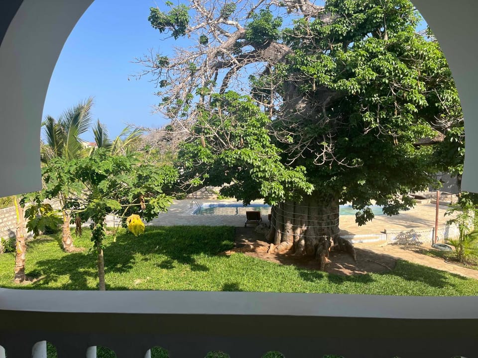 View (from property/room)