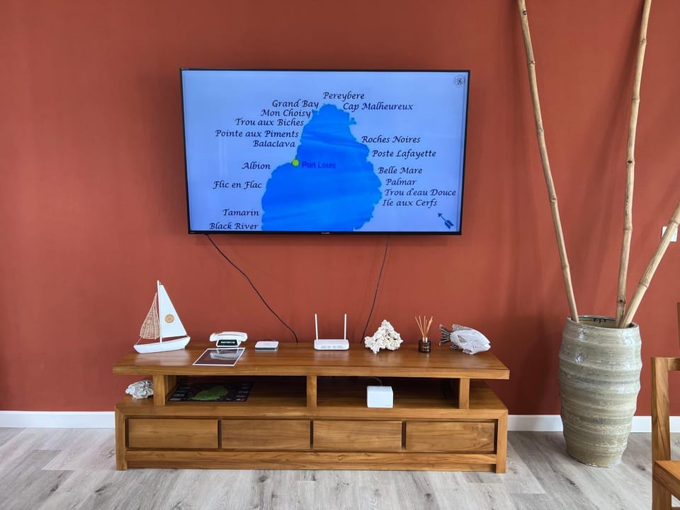 TV and multimedia