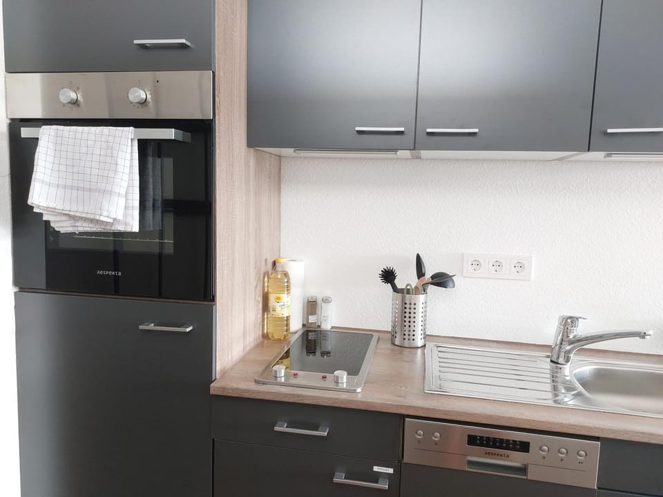 Kitchen or kitchenette, dishwasher, oven, stove