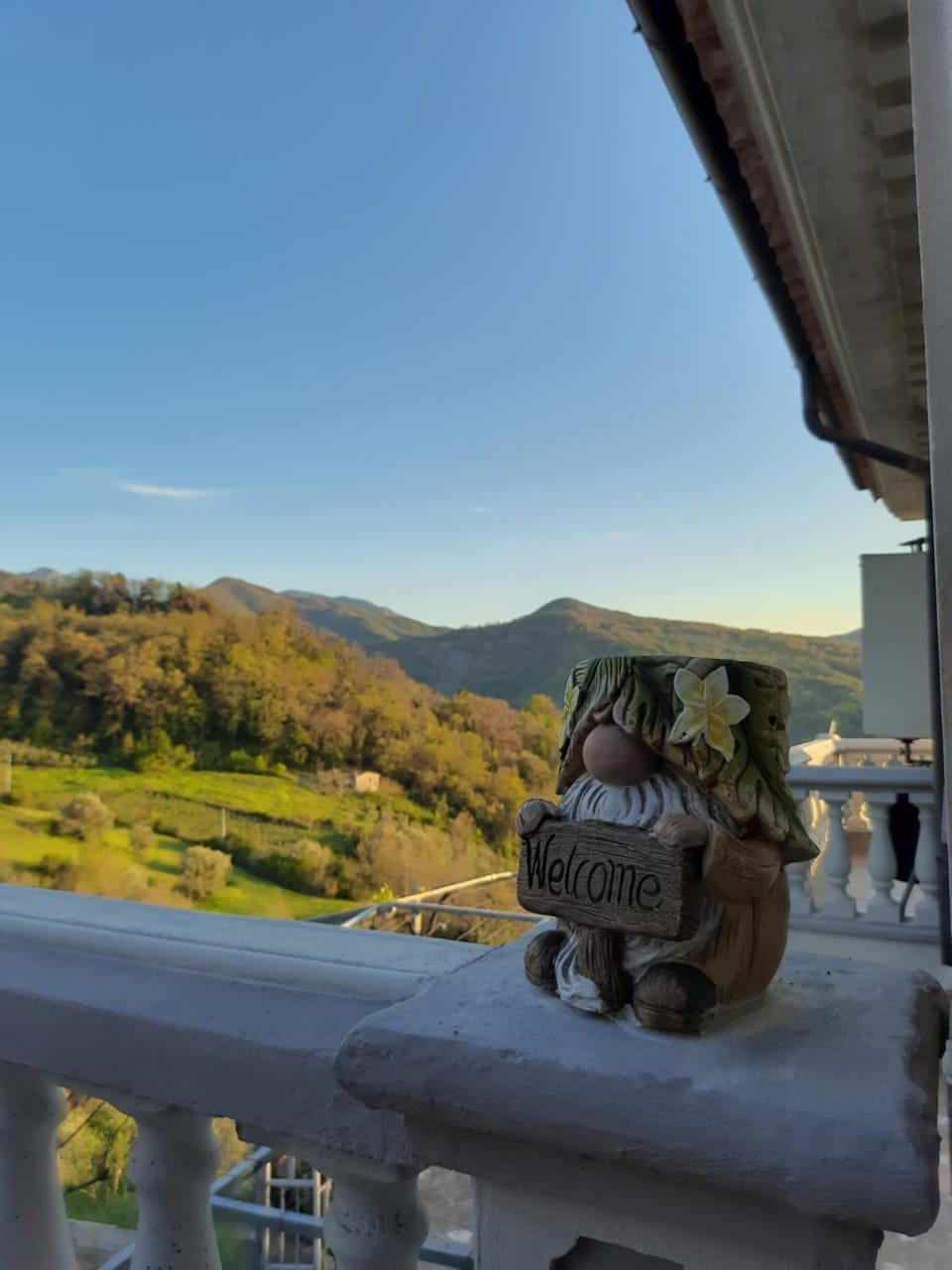 Natural landscape, View (from property/room), Balcony/Terrace, Mountain view