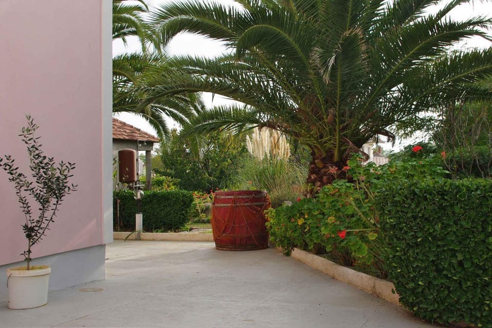 Property building, Summer, Garden