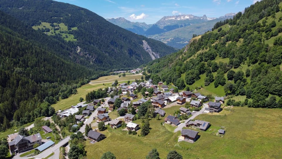 Spring, Neighbourhood, Bird's eye view