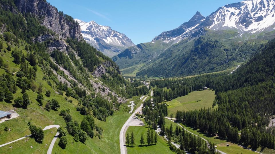 Spring, Neighbourhood, Mountain view