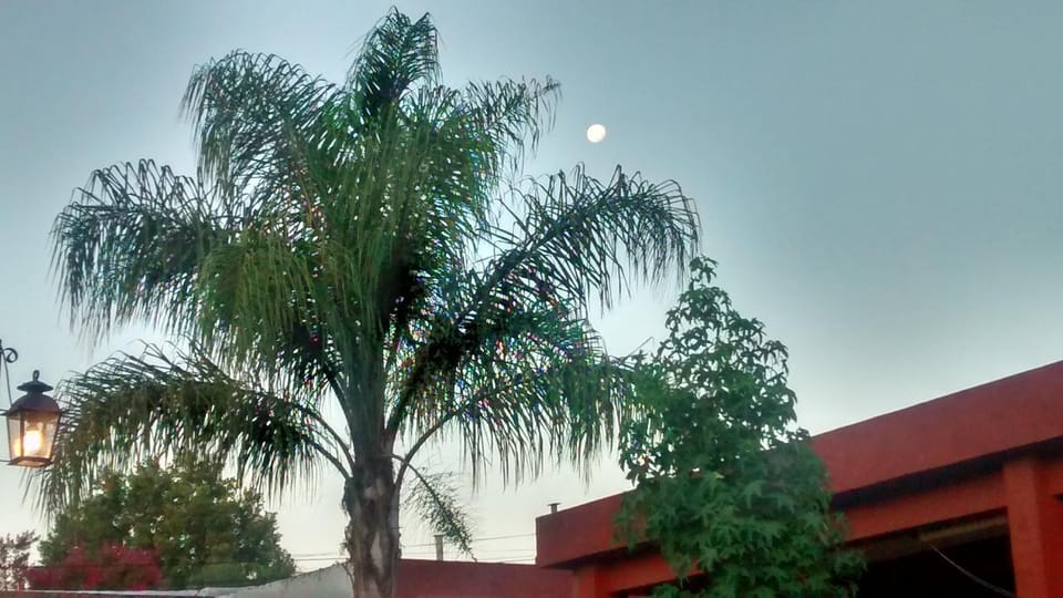 Garden, Garden