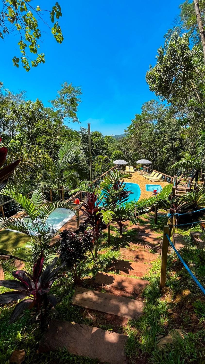 Day, Natural landscape, Garden, Garden view, Pool view, Swimming pool