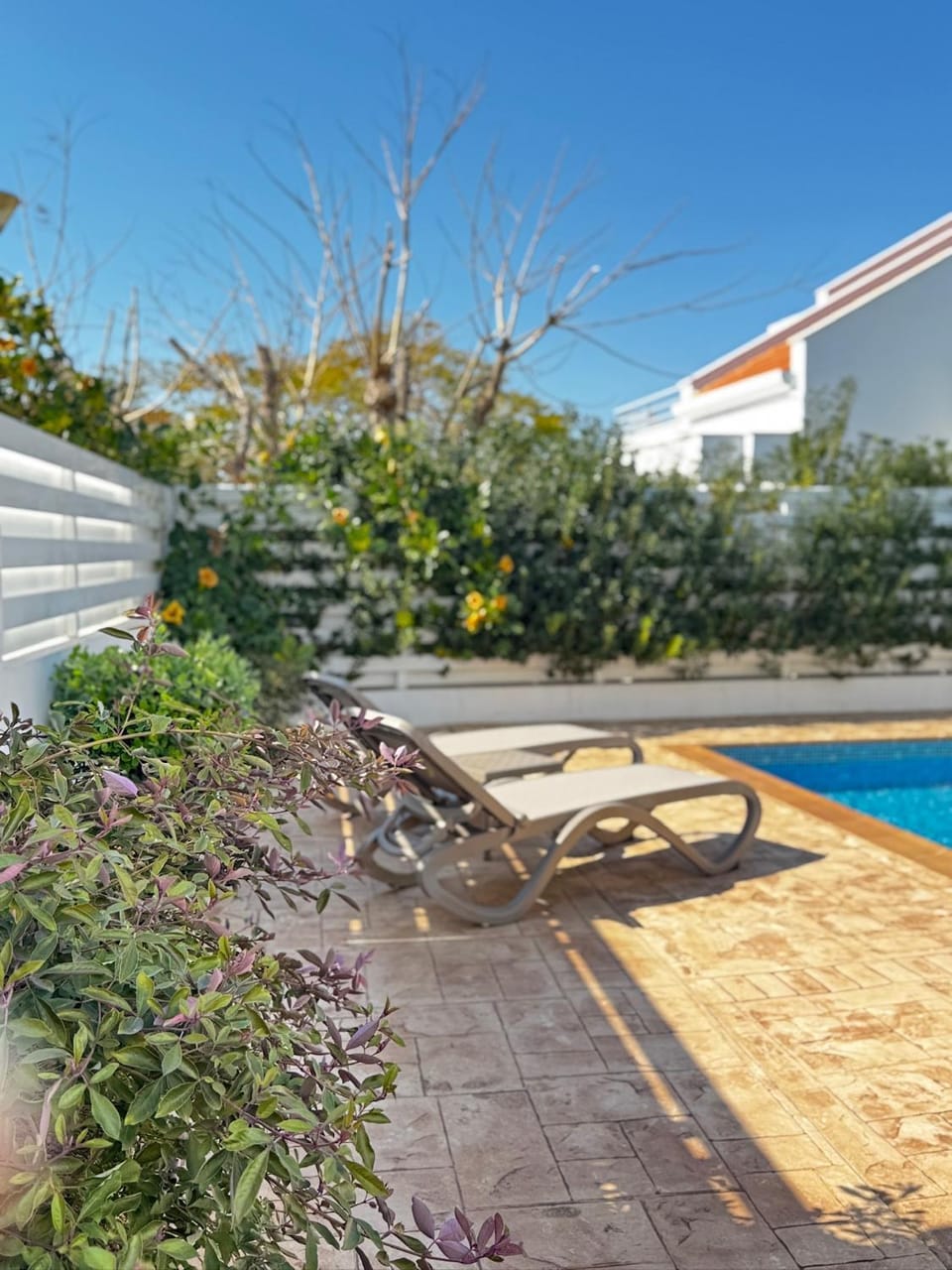 Garden view, sunbed