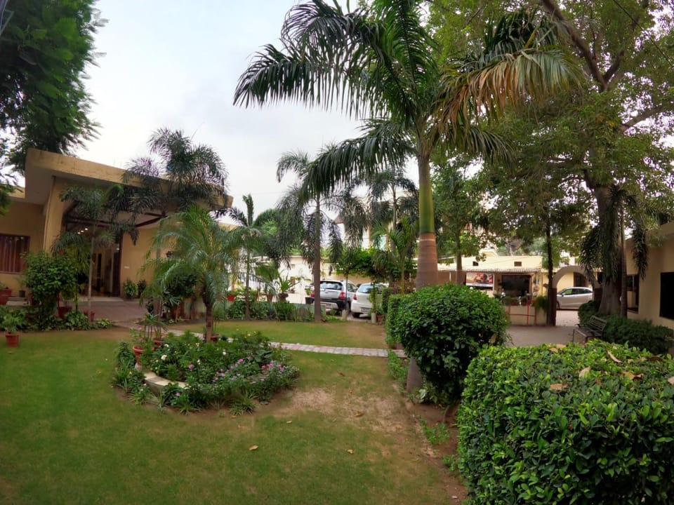 Garden
