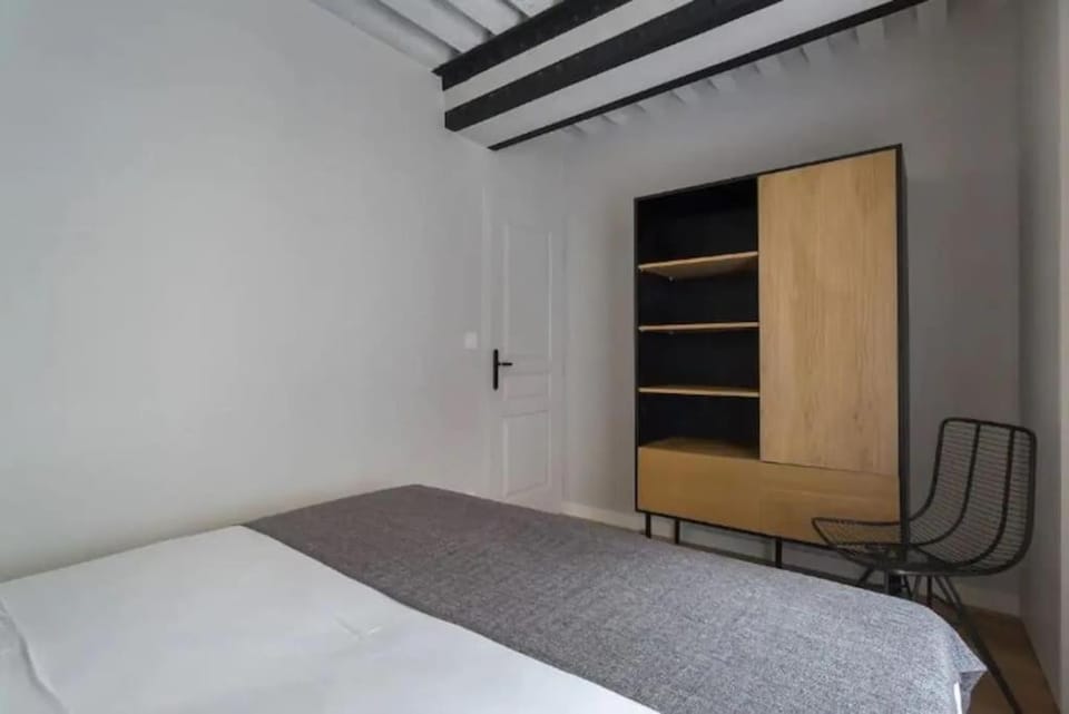 Canut authentique et design, deux chambres, Lyon 1 Apartment in Lyon