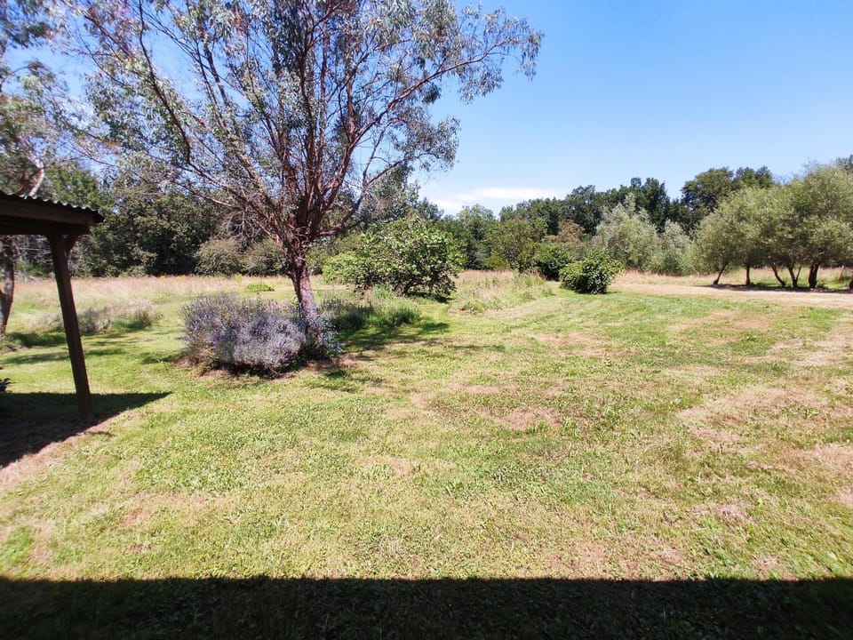 Maison de campagne sur 2 hectares House in Nouvelle-Aquitaine
