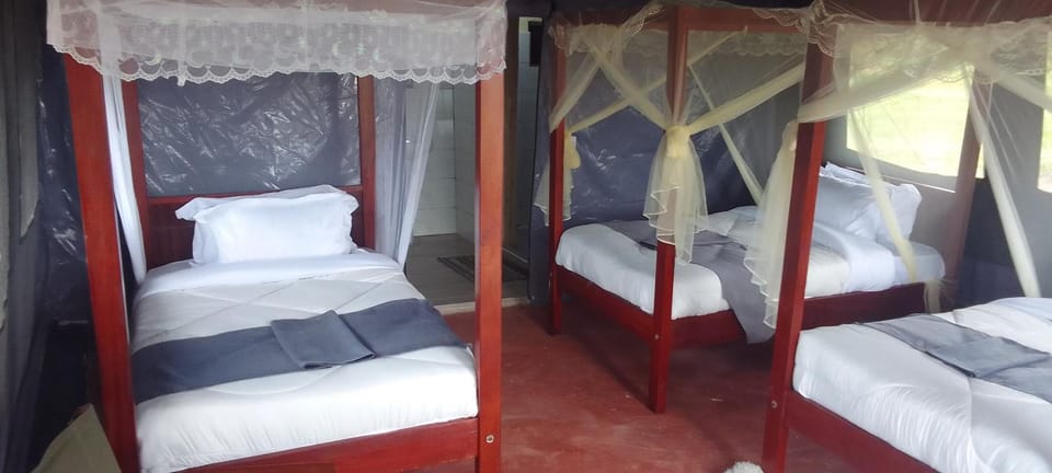Endeem Mara Resort Resort in Kenya