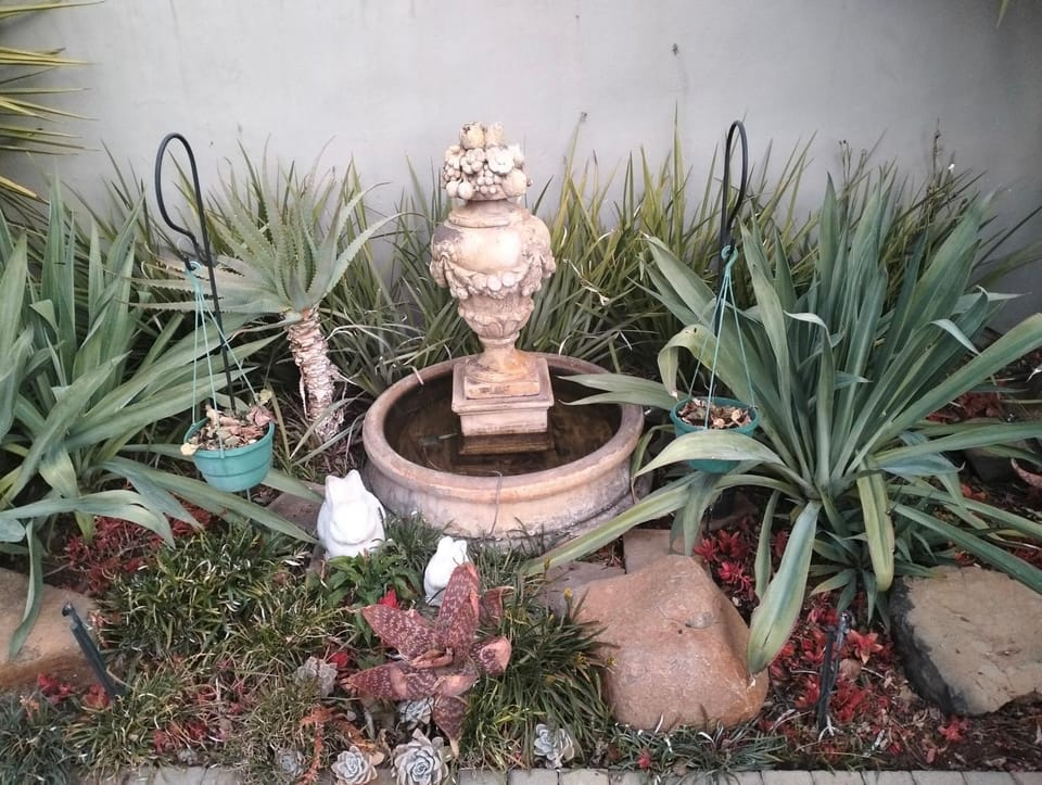 Day, Garden, Garden view