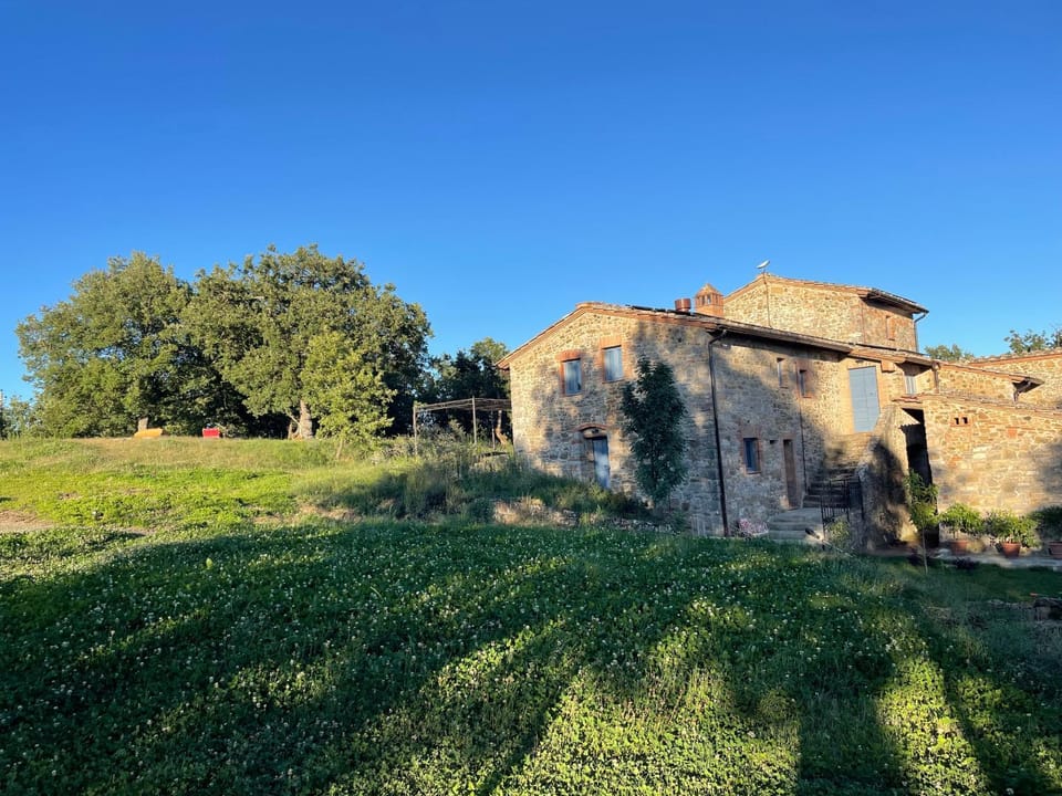 Property building, Garden