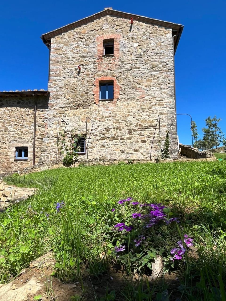 Property building, Spring, Garden view