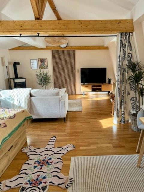 Residenz zu Caub - Pfalzgrafenstein Appartment Apartment in Rhineland-Palatinate