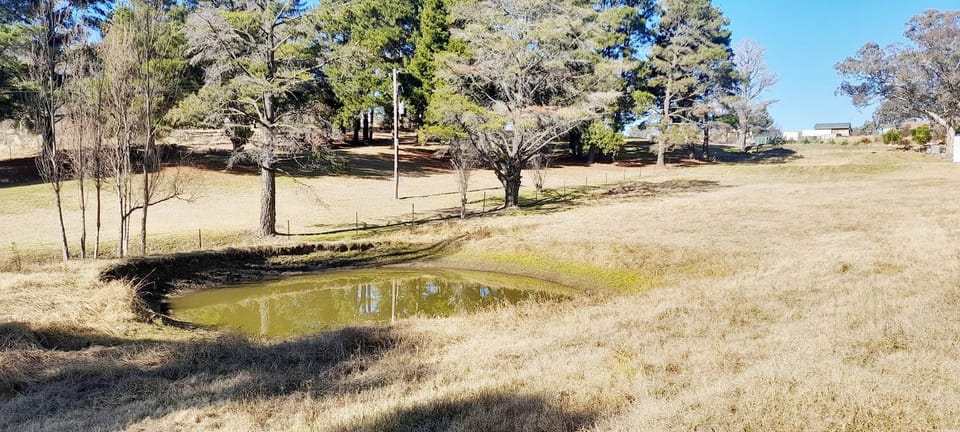 Garden, Lake view