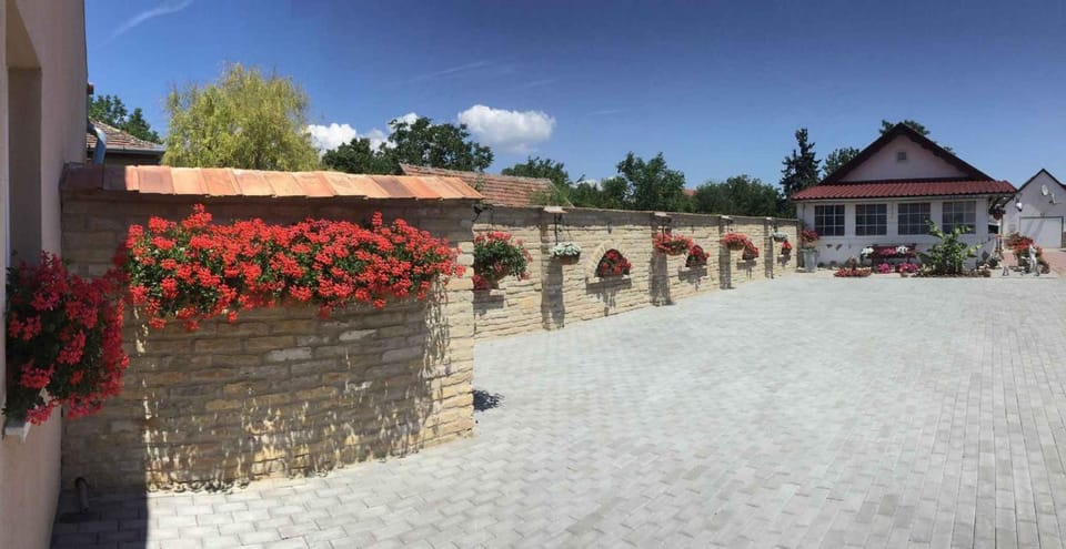 Property building, Summer