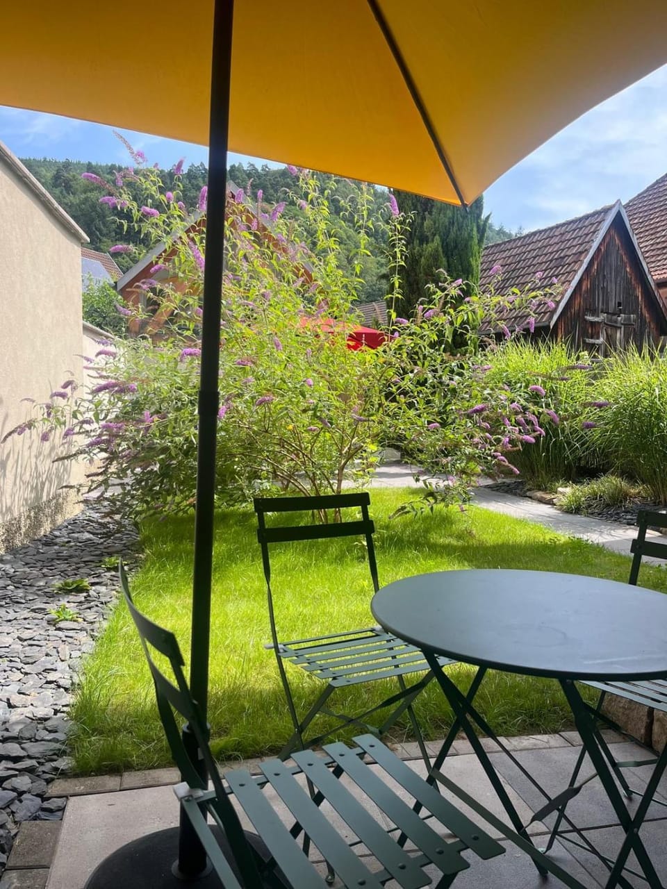 Patio, Day, Natural landscape, Garden, Garden view, Mountain view