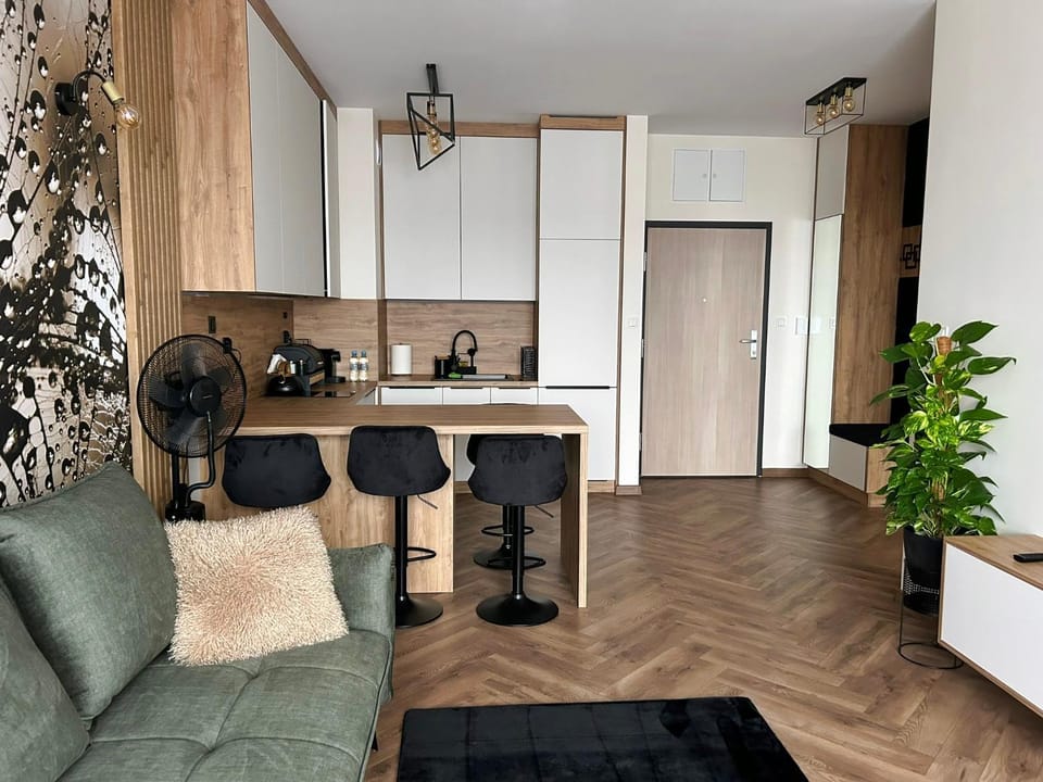 Living room, kitchen