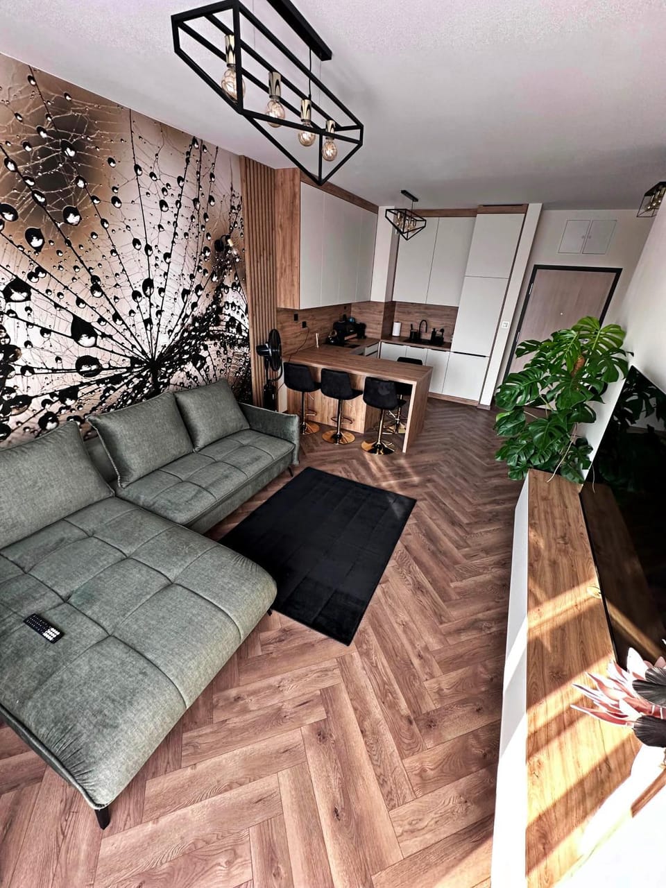 Kitchen or kitchenette, Living room