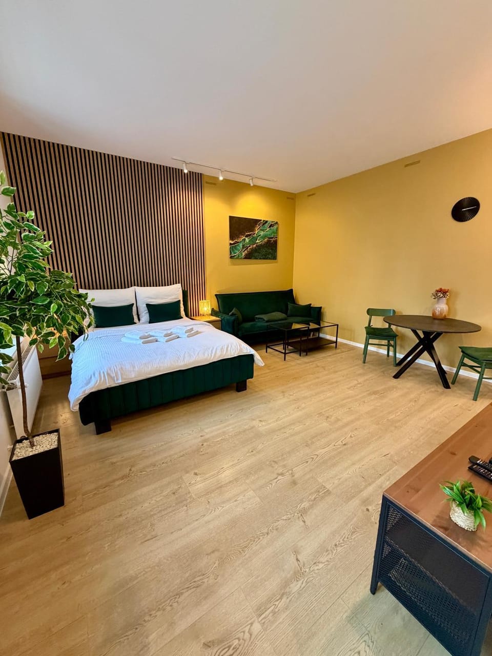 Bed, Living room, Photo of the whole room, Seating area, Bedroom