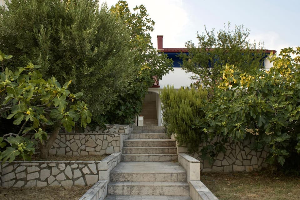Patio, Facade/entrance, Day, Garden