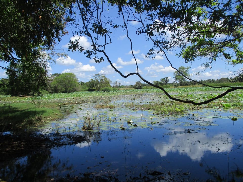Peacock Lake Villa Bed and Breakfast in Sri Lanka