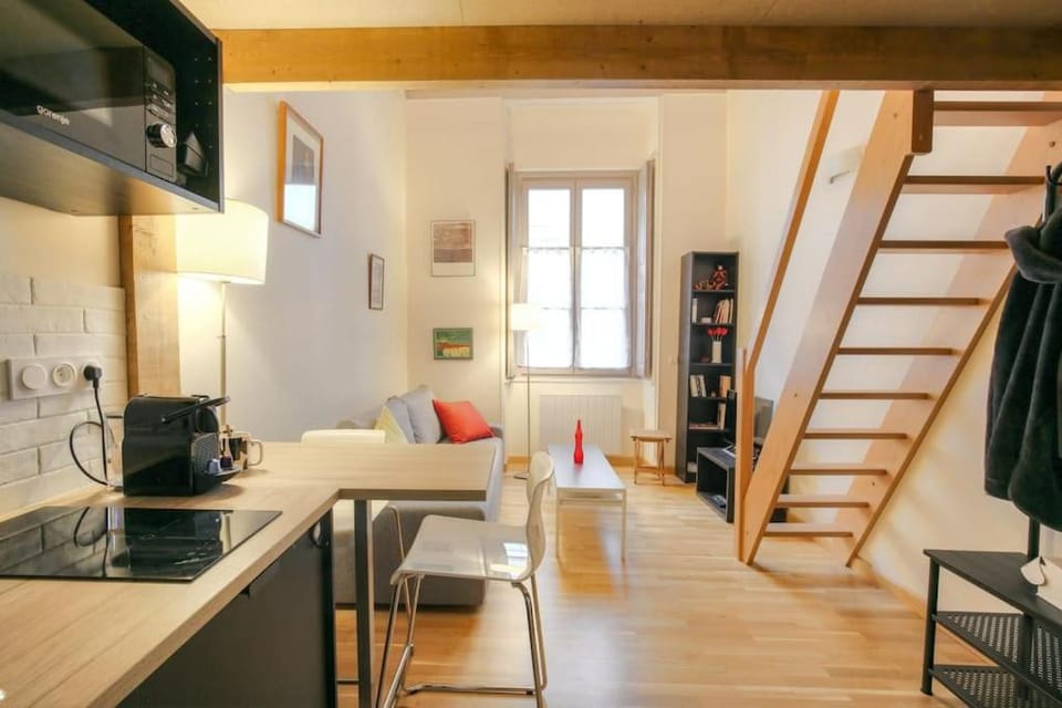 Joli studio chaleureux proche Bellecour Apartment in Lyon
