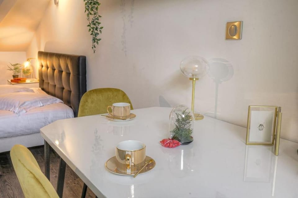 Beau studio rénové, proche gare, Lyon 3 Apartment in Villeurbanne