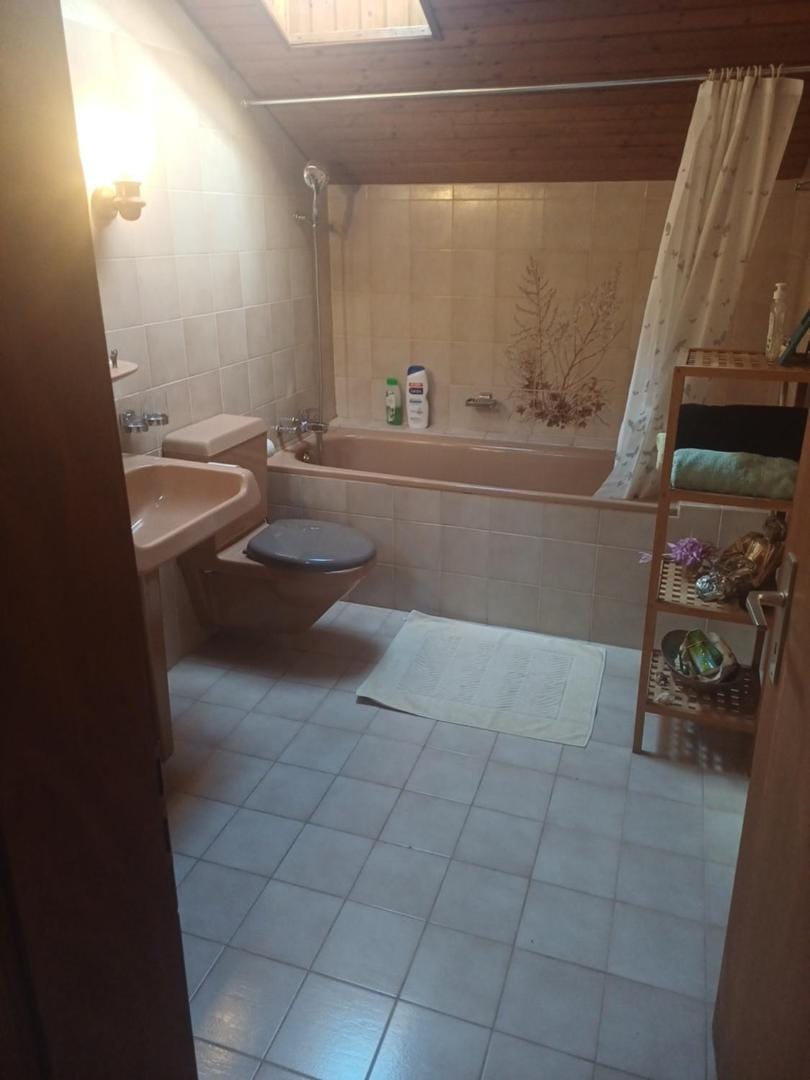 Shower, Toilet, Bathroom, Bath, towels