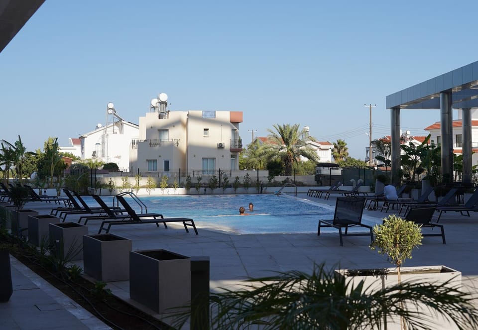 Pool view, Swimming pool, sunbed