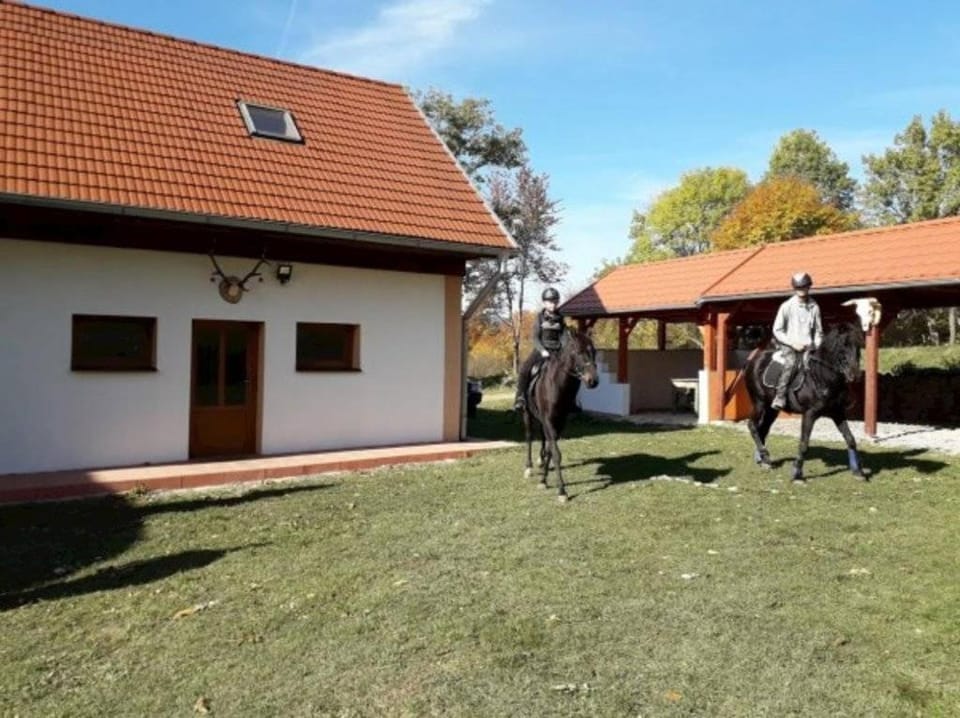 Horse-riding