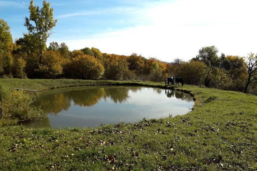 Garden, Lake view