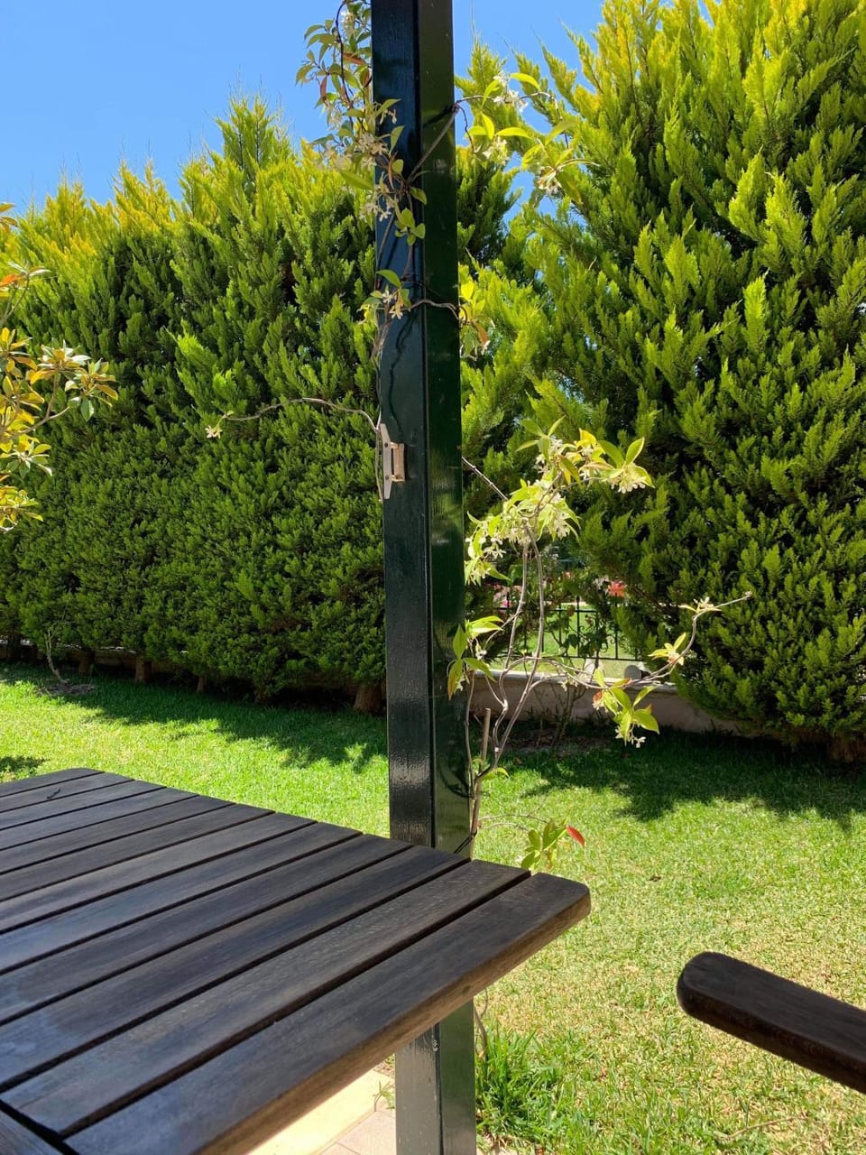 Garden view