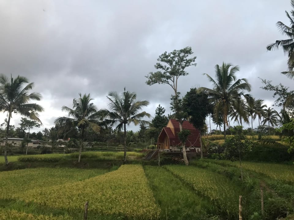 Property building, Natural landscape