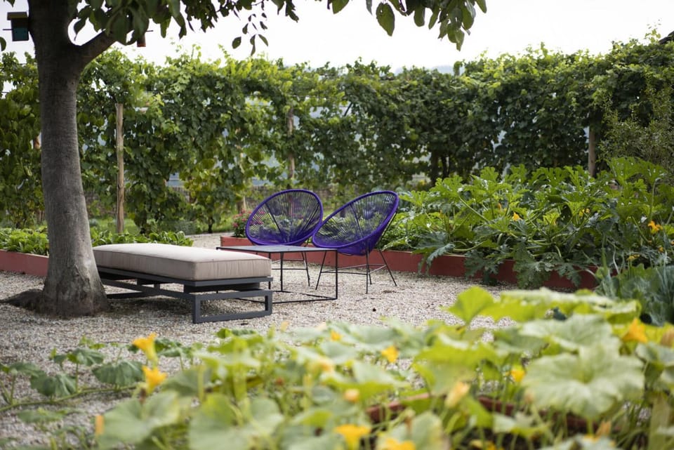 Spring, Summer, Garden, Autumn