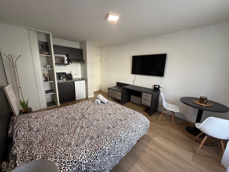 Aismé Apartment in Toulouse