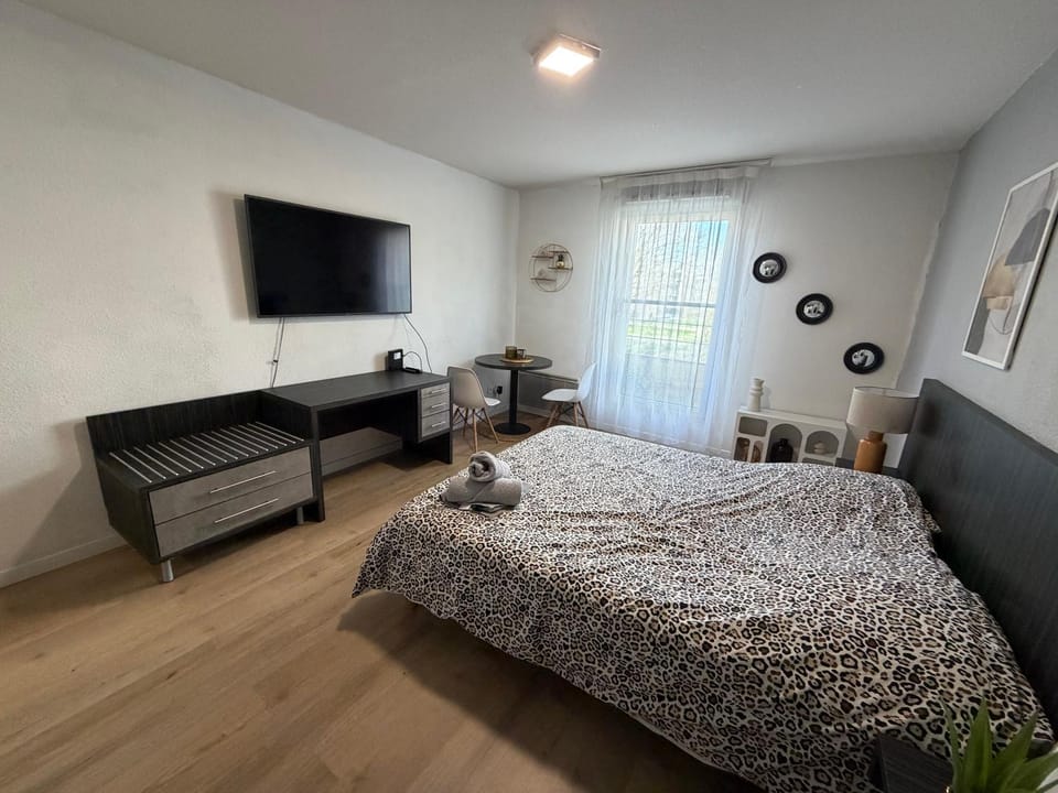 Aismé Apartment in Toulouse