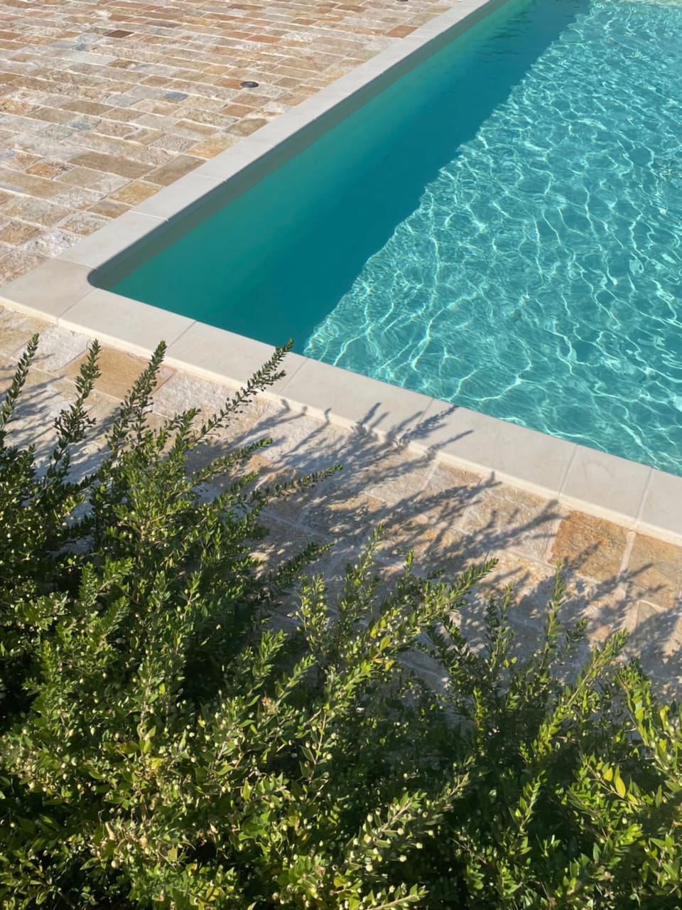Day, Garden, Pool view, Swimming pool