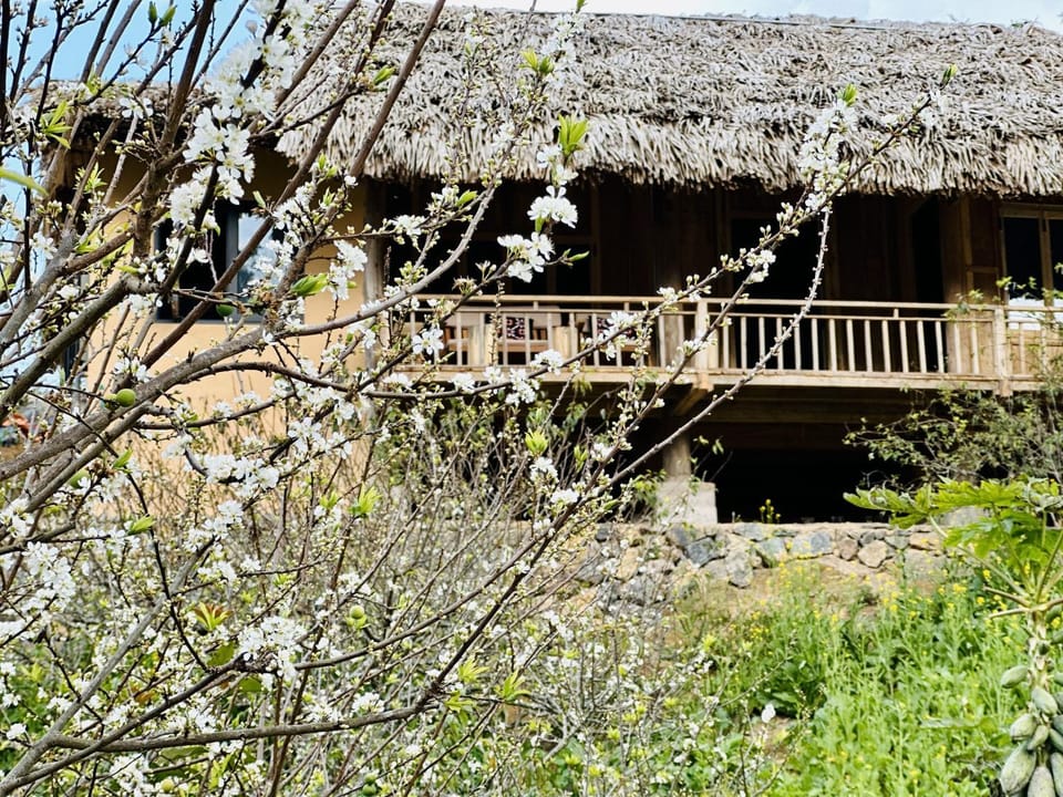 Ho May Garden Retreat - Moc Chau Nature lodge in Vietnam